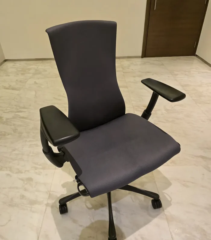 Herman miller Embody Chair